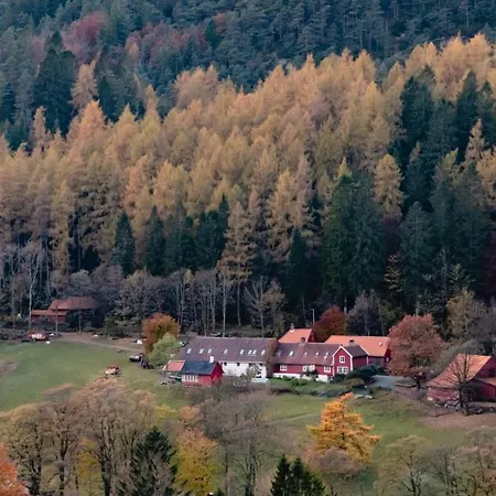 Charming Peacful Studio Leilighet Bergen
